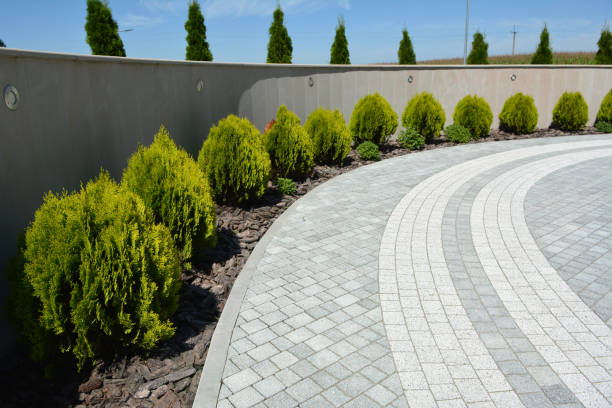 Best Driveway Paving Contractor  in Tolono, IL